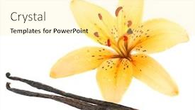  Presentation with lily flower - Amazing slide deck having lily-flower-and-vanilla-sticks backdrop and a blonde colored foreground