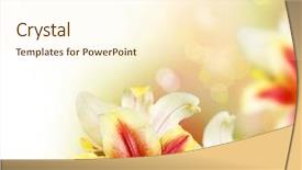  Presentation with summer flowers - Presentation enhanced with lily flowers border design summer background and a cream colored foreground