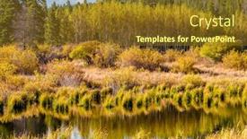  Presentation with rocky mountains - PPT layouts enhanced with lily-lake-at-autumn-rocky background and a tawny brown colored foreground