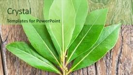  Presentation with lily of the valley close - PPT layouts with lily of the valley bouquet background and a  colored foreground