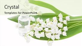  Presentation with essence - Audience pleasing PPT layouts consisting of lily of the valley essence backdrop and a soft green colored foreground