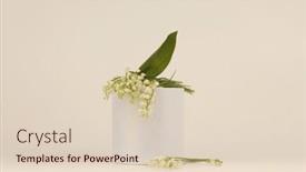  Presentation with minimal - Presentation theme enhanced with lily-of-the-valley-flower background and a lemonade colored foreground