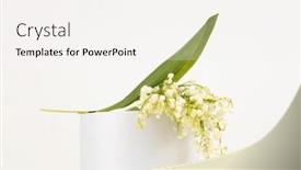  Presentation with minimal - Slide deck featuring lily-of-the-valley-flower background and a sky blue colored foreground