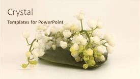  Presentation with lily flower - Presentation design enhanced with lily-of-the-valley-flower background and a cream colored foreground