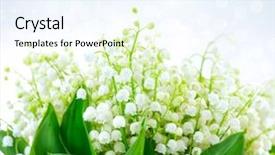  Presentation with lotus flower white water lily - Cool new slide set with lily-of-the-valley flowers backdrop and a sky blue colored foreground