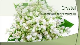  Presentation with lily of the valley close - Amazing slides having lily of the valley isolated backdrop and a soft green colored foreground