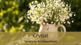  Presentation with bunch - PPT layouts with lily of the valley sunlit bunch in a jar background and a gold colored foreground
