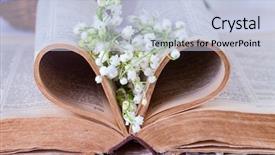  Presentation with lily - Beautiful presentation design featuring lily of the valley backdrop and a  colored foreground