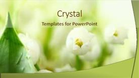  Presentation with lily of the valley close - Cool new PPT layouts with lily of the valley backdrop and a soft green colored foreground