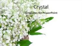  Presentation with lily - Presentation theme consisting of lily-of-the-valley background and a white colored foreground