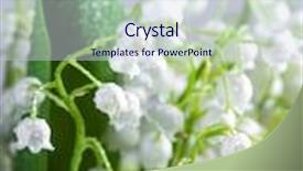  Presentation with lily - Colorful presentation design enhanced with lily-of-the-valley backdrop and a sky blue colored foreground