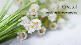  Presentation with lily - Amazing presentation design having lily-of-the-valley backdrop and a  colored foreground