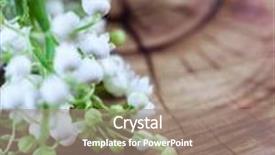  Presentation with lily - Presentation theme consisting of lily-of-the-valley background and a coral colored foreground