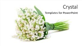  Presentation with lily - Audience pleasing slide deck consisting of lily of the valley backdrop and a white colored foreground