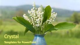  Presentation with lily - Slide deck consisting of lily of the valley background and a tawny brown colored foreground