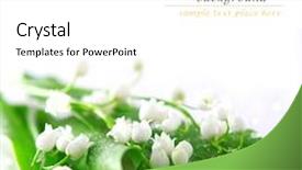  Presentation with lily - PPT layouts with lily of the valley background and a white colored foreground