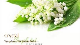 Presentation with lily - Audience pleasing theme consisting of lily of the valley backdrop and a cream colored foreground