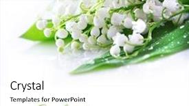  Presentation with lily - PPT layouts featuring lily of the valley background and a white colored foreground