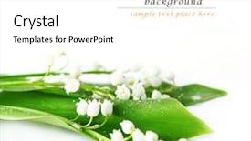  Presentation with lily - Amazing PPT layouts having lily of the valley backdrop and a white colored foreground
