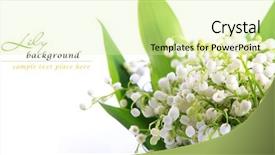  Presentation with lily - PPT layouts with lily of the valley background and a soft green colored foreground