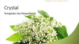  Presentation with lily - PPT layouts consisting of lily of the valley background and a white colored foreground