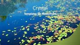  Presentation with blue water lily - Amazing slide set having lily pads on blue water backdrop and a teal colored foreground