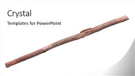  Presentation with single tree - Audience pleasing slide deck consisting of 1 limb - single dry tree branch backdrop and a  colored foreground