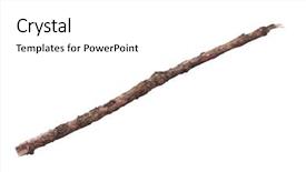  Presentation with single tree - Slide deck enhanced with 1 limb - single dry tree branch background and a white colored foreground