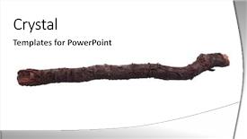  Presentation with single tree - Amazing PPT theme having 1 limb - single dry tree branch backdrop and a  colored foreground