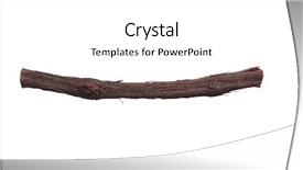  Presentation with single tree - Slide set consisting of 1 limb - single dry tree branch background and a  colored foreground