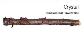  Presentation with single tree - Theme having 1 limb - single dry tree branch background and a  colored foreground
