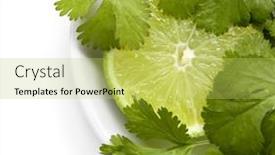  Presentation with lime - Colorful presentation design enhanced with people concept - happy internation backdrop and a gray colored foreground