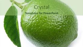  Presentation with citrus - PPT layouts consisting of lime-citrus-fruit-with-leaves background and a mint green colored foreground