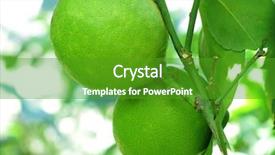  Presentation with lime - Amazing PPT theme having limes on a lime tree backdrop and a  colored foreground