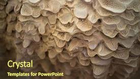  Presentation with river sediment - Presentation design featuring limestone sediment on the river' background and a tawny brown colored foreground