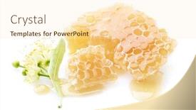  Presentation with honey - Presentation theme with linden-flowers-with-honeycombs-linden background and a lemonade colored foreground