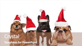  Presentation with sad dog abandoned dogs - Amazing theme having line site - group of four adorable santa backdrop and a  colored foreground