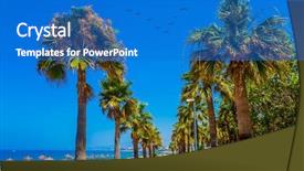  Presentation with pedestrian - Beautiful theme featuring lined with palm trees flock backdrop and a teal colored foreground