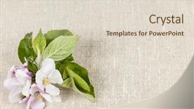  Presentation with woven - Slide set featuring linen background with spring apple background and a lemonade colored foreground