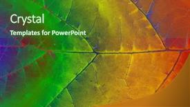  Presentation with rainbow - Colorful PPT theme enhanced with lines rainbow color - macro leaf backdrop and a  colored foreground