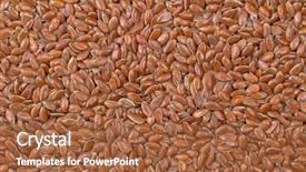  Presentation with flax plant - Beautiful presentation design featuring linseeds - closeup background texture photo backdrop and a red colored foreground