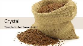  Presentation with seed - Beautiful slide deck featuring set of clown photos isolated on white backdrop and a white colored foreground