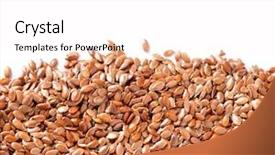  Presentation with border - Slide set having linseeds - linseed flaxseed border isolated background and a pink colored foreground