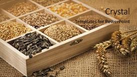  Presentation with grains - PPT layouts consisting of linseeds - variety of seeds and grains background and a gold colored foreground