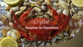  Presentation with crab shell - Presentation theme having lio carcinus puber crab over shell clams and lemon background background and a tawny brown colored foreground