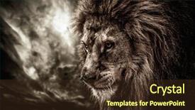  Presentation with lion king - Presentation design enhanced with lion against stormy sky background and a tawny brown colored foreground