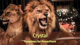  Presentation with roaring - Cool new slide deck with shadow icon for game web backdrop and a mint green colored foreground