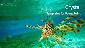  Presentation with under water - Audience pleasing presentation theme consisting of lion fish swimming under water backdrop and a ocean colored foreground
