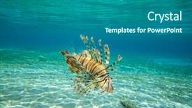  Presentation with under water concrete - Amazing slide set having lion fish swimming under water backdrop and a teal colored foreground