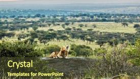  Presentation with serengeti africa - PPT theme with lion lying on rocks background and a tawny brown colored foreground